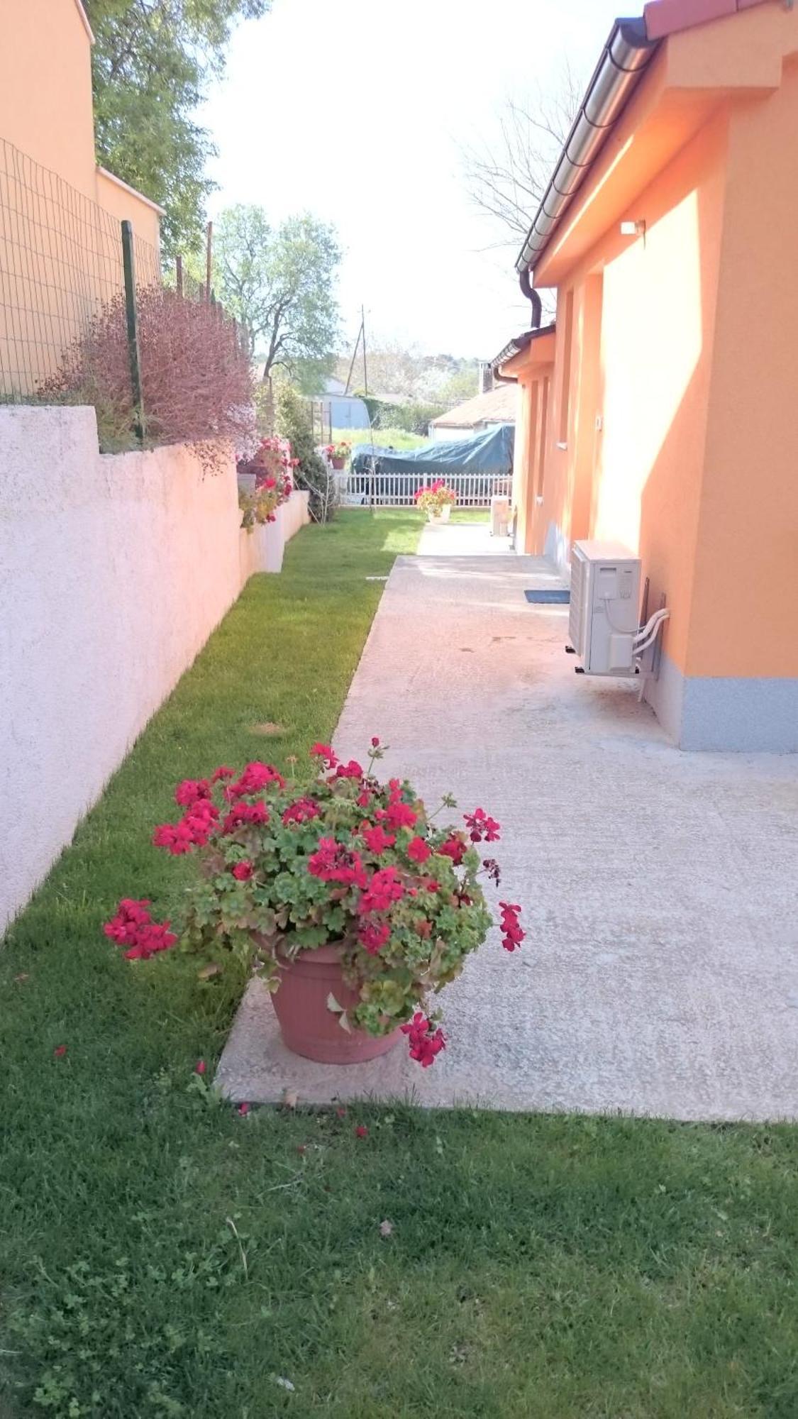 Apartment Shankini Pula Exterior foto